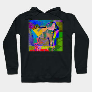 Horse Hoodie